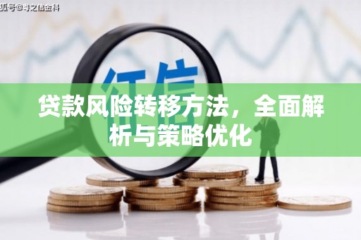 静海贷款风险转移方法，全面解析与策略优化