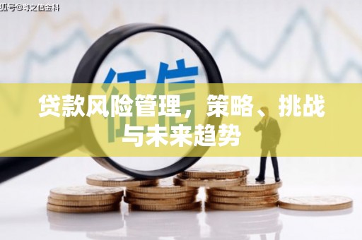 静海贷款风险管理，策略、挑战与未来趋势