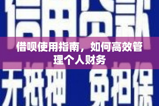 静海借呗使用指南，如何高效管理个人财务