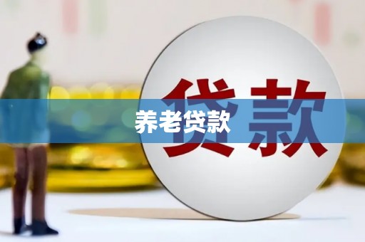 静海养老贷款
