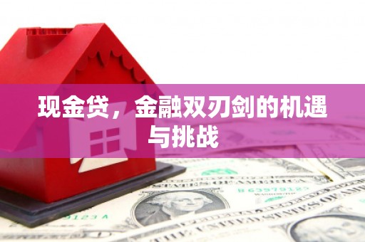 静海现金贷，金融双刃剑的机遇与挑战