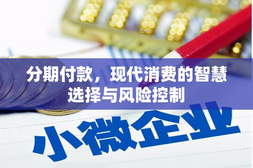 静海分期付款，现代消费的智慧选择与风险控制