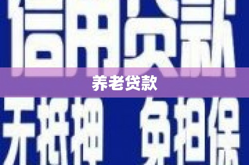静海养老贷款