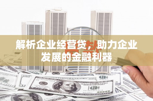 静海解析企业经营贷，助力企业发展的金融利器