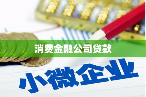 静海消费金融公司贷款