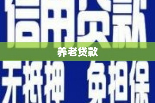 静海养老贷款