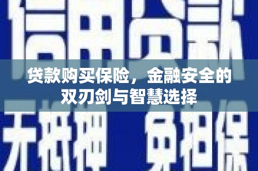 静海贷款购买保险，金融安全的双刃剑与智慧选择