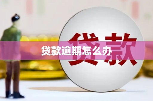 静海贷款逾期怎么办