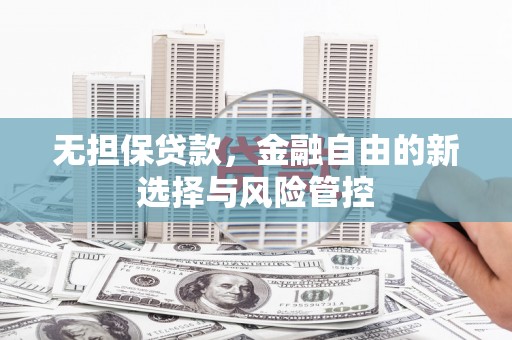 静海无担保贷款，金融自由的新选择与风险管控