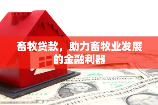 静海畜牧贷款，助力畜牧业发展的金融利器