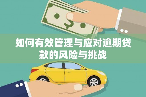 静海如何有效管理与应对逾期贷款的风险与挑战