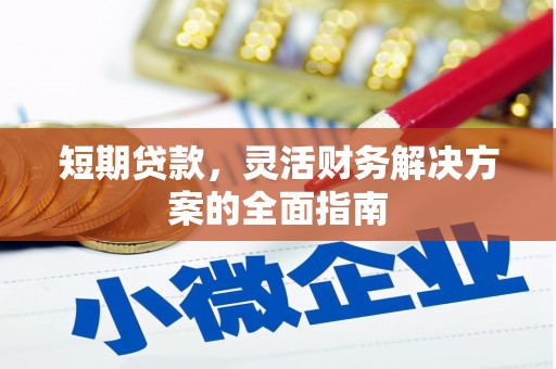 静海短期贷款，灵活财务解决方案的全面指南