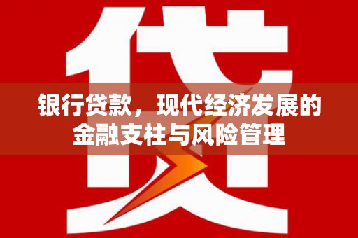 静海银行贷款，现代经济发展的金融支柱与风险管理