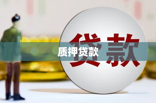 静海质押贷款