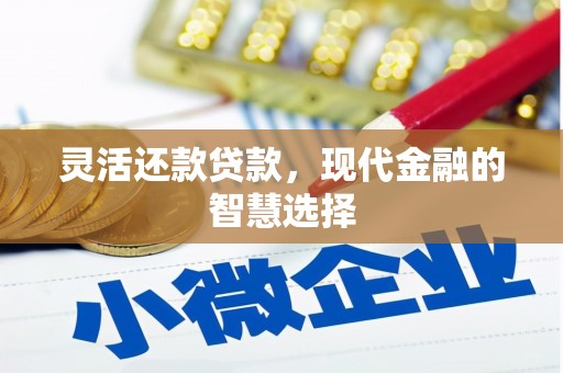 静海灵活还款贷款，现代金融的智慧选择