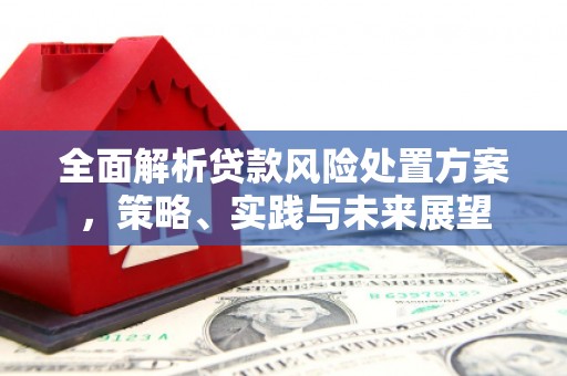 静海全面解析贷款风险处置方案，策略、实践与未来展望