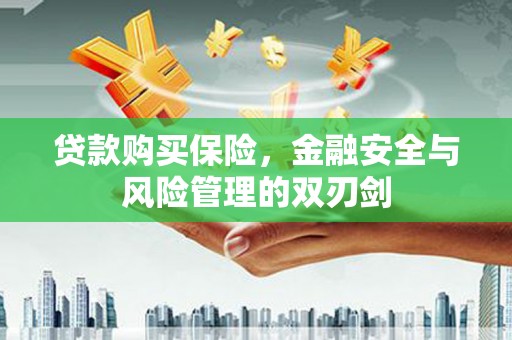 静海贷款购买保险，金融安全与风险管理的双刃剑