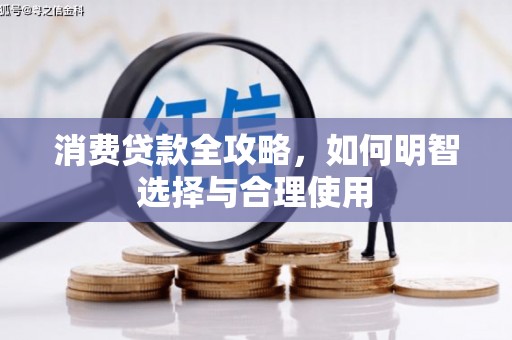静海消费贷款全攻略，如何明智选择与合理使用