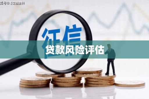 静海贷款风险评估