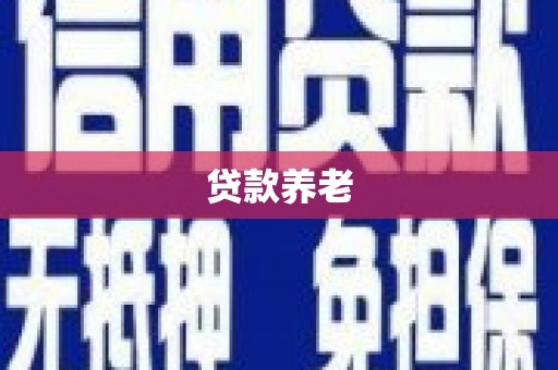 静海贷款养老