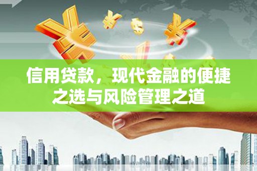 静海信用贷款，现代金融的便捷之选与风险管理之道