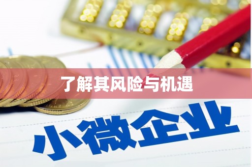 静海了解其风险与机遇