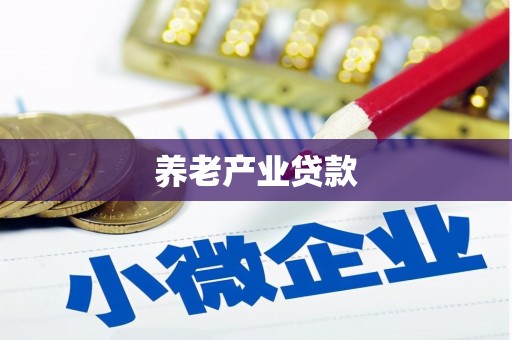 静海养老产业贷款