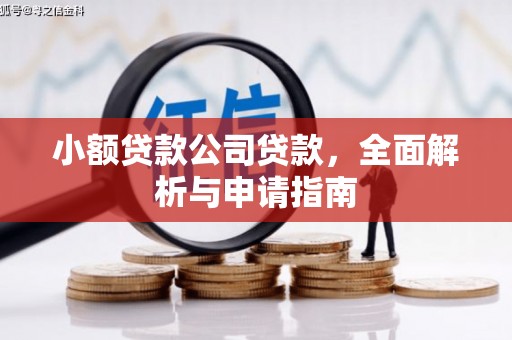 静海小额贷款公司贷款，全面解析与申请指南