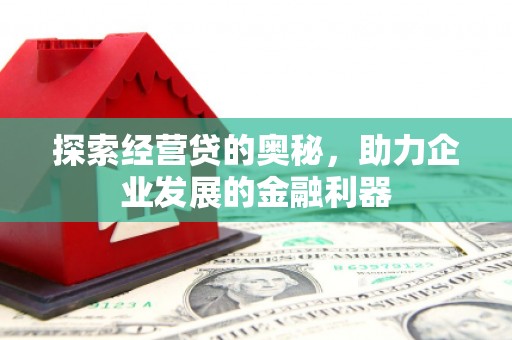 静海探索经营贷的奥秘，助力企业发展的金融利器
