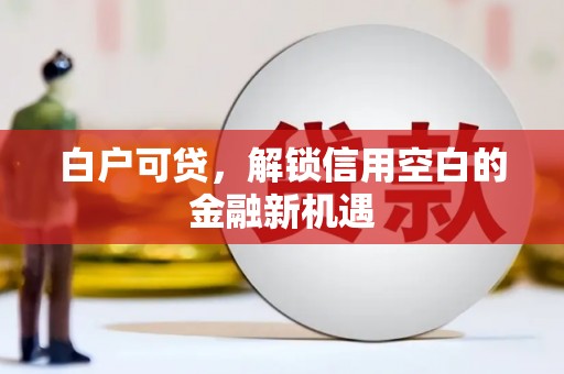 静海白户可贷，解锁信用空白的金融新机遇