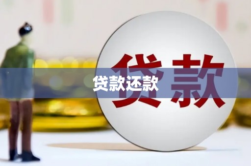 静海贷款还款