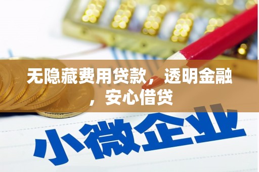 静海无隐藏费用贷款，透明金融，安心借贷
