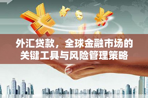 静海外汇贷款，全球金融市场的关键工具与风险管理策略