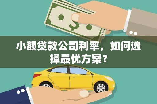 静海小额贷款公司利率，如何选择最优方案？