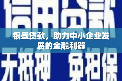 静海银盛贷款，助力中小企业发展的金融利器