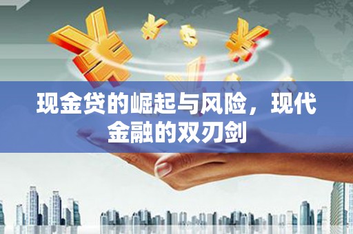 静海现金贷的崛起与风险，现代金融的双刃剑