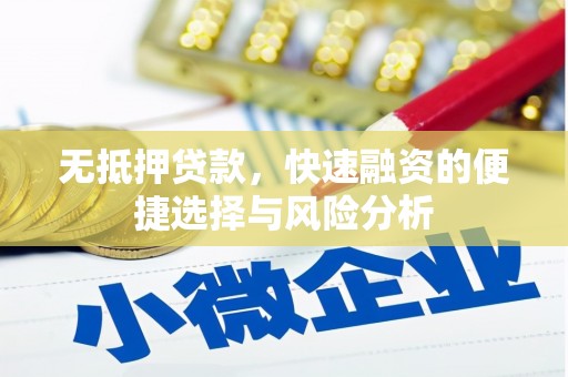 静海无抵押贷款，快速融资的便捷选择与风险分析