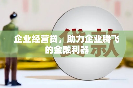 静海企业经营贷，助力企业腾飞的金融利器