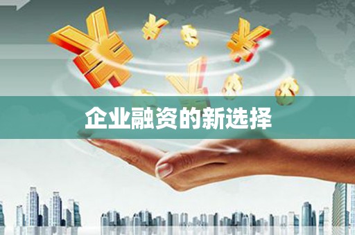 静海企业融资的新选择