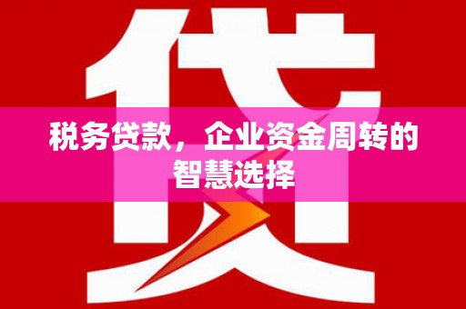静海税务贷款，企业资金周转的智慧选择