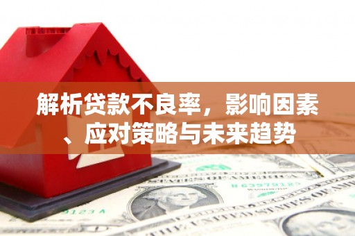 静海解析贷款不良率，影响因素、应对策略与未来趋势