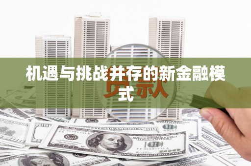静海机遇与挑战并存的新金融模式