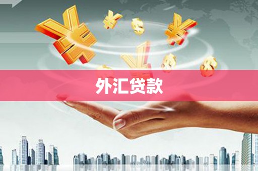 静海外汇贷款