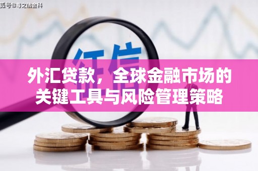静海外汇贷款，全球金融市场的关键工具与风险管理策略