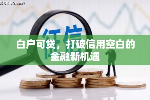 静海白户可贷，打破信用空白的金融新机遇