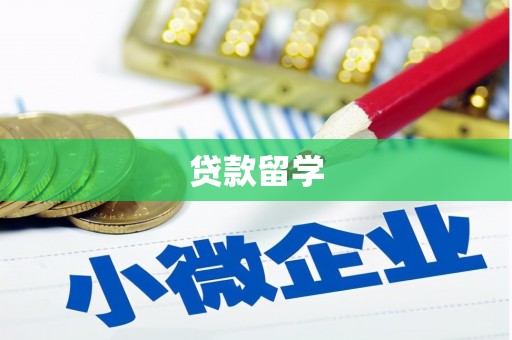 静海贷款留学