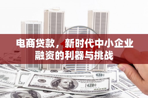 静海电商贷款，新时代中小企业融资的利器与挑战