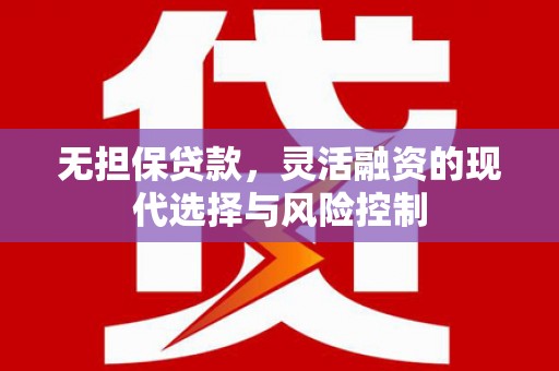 静海无担保贷款，灵活融资的现代选择与风险控制