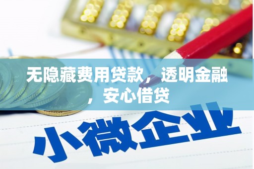 静海无隐藏费用贷款，透明金融，安心借贷