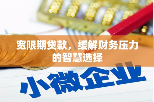静海宽限期贷款，缓解财务压力的智慧选择